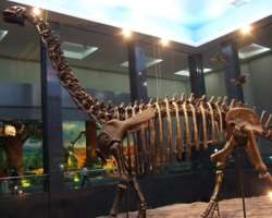 The second floor displays Broad Plateau, Prehistoric World, Shenzhou Spacecraft, and Treasures Underground which tells about the history and developme